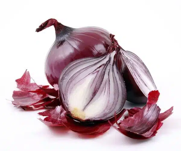 Allium cepa (Onion) Karmen