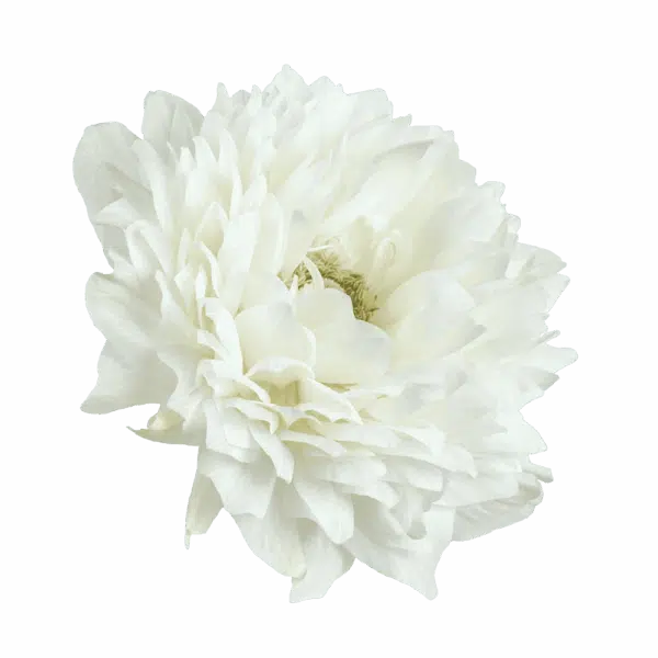 Ветраніца каранарная Levante® White
