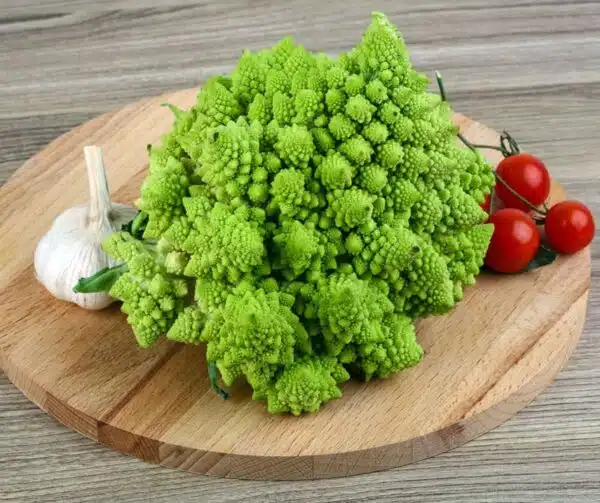 Brassica oleracea (Romanesco) Natalino