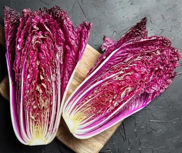 Brassica oleracea (Chinese cabbage) Scansie F1 - Image 3