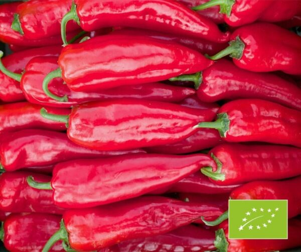 Capsicum annuum (папрыка) Korosko BIO