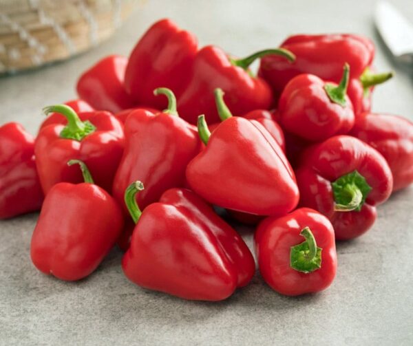 Capsicum annuum (Paprika) Merino BIO - Afbeelding 3