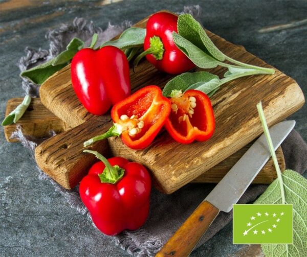 Capsicum annuum (Paprika) Merino BIO