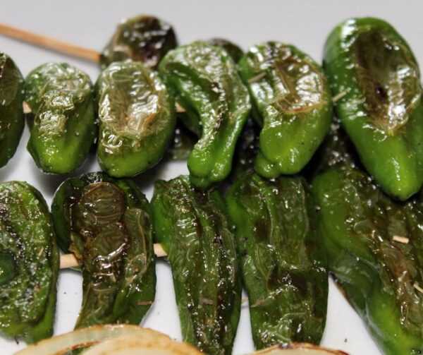 Capsicum annuum (Paprika) Pimientos de Padron - Image 3