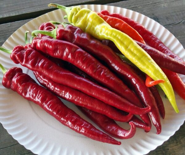 Capsicum annuum (Peperoni) Redhorn - Малюнак 2