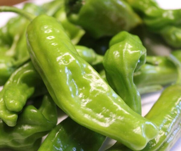 Capsicum annuum (папрыка) Shishito - малюнак 2