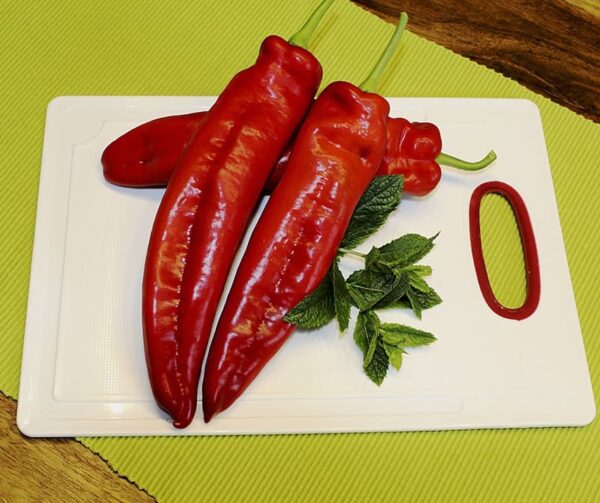 Capsicum annuum (Paprika) Thor F1 - Afbeelding 2