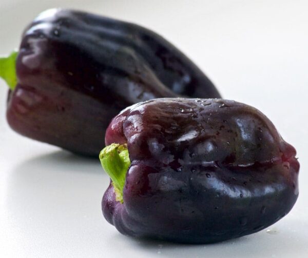 Capsicum annuum (папрыка) Zulu - малюнак 3