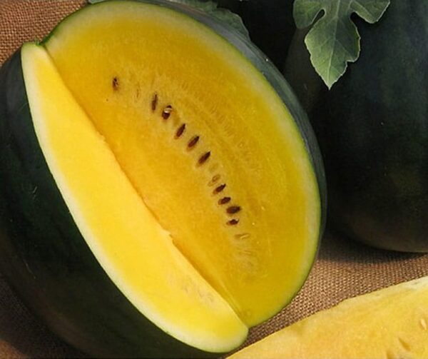 Citrullus lanatus (Wassermelone) Janosik