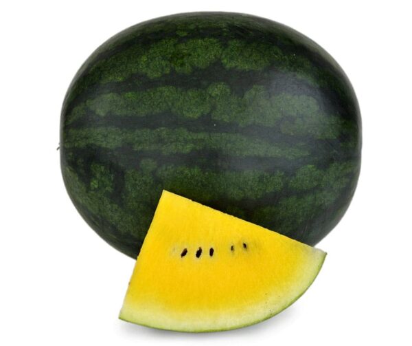 Citrullus lanatus (Watermelon) Letosun F1