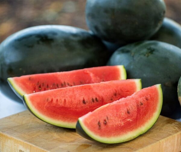 Citrullus lanatus (Watermelon) Little Darling F1 - Image 2