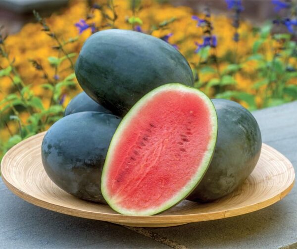 Citrullus lanatus (Watermelon) Little Darling F1