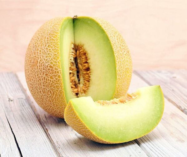 Cucumis melo (Melon) Arava F1 BIO