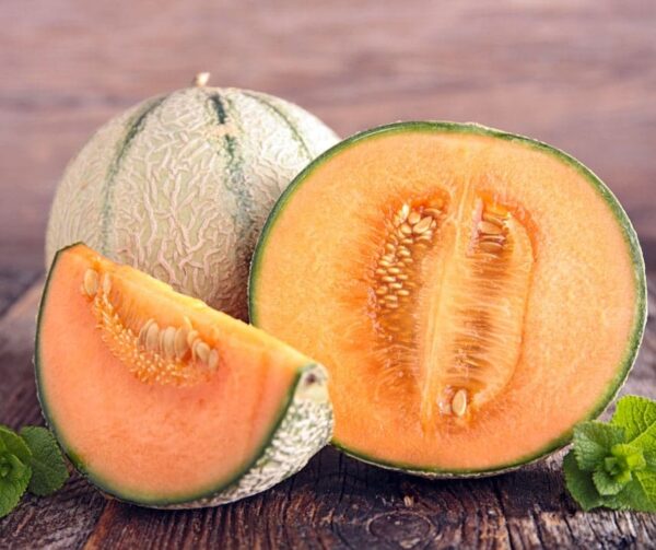 Cucumis melo (Melone) Bari F1