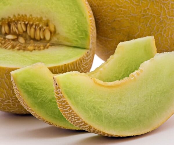 Cucumis melo (Melon) Exelor F1