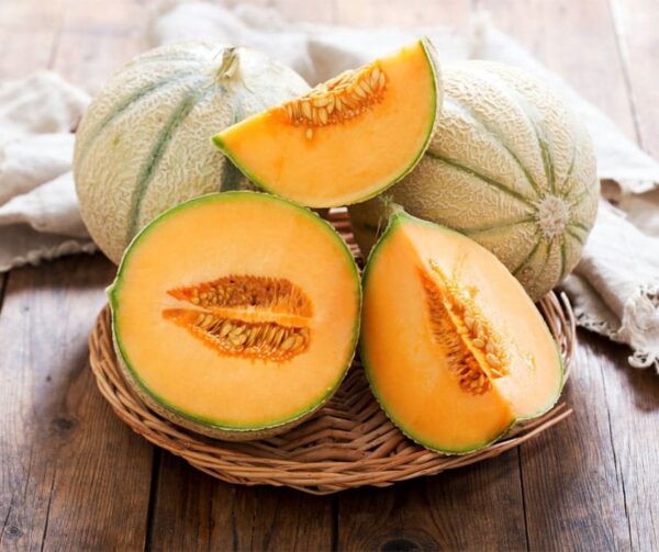 Cucumis melo (Melon) Talisman F1