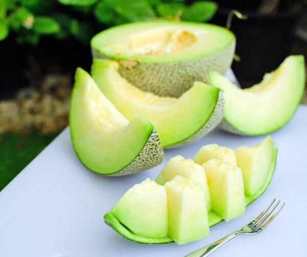 Дыня (Cucumis melo) Tenor F1