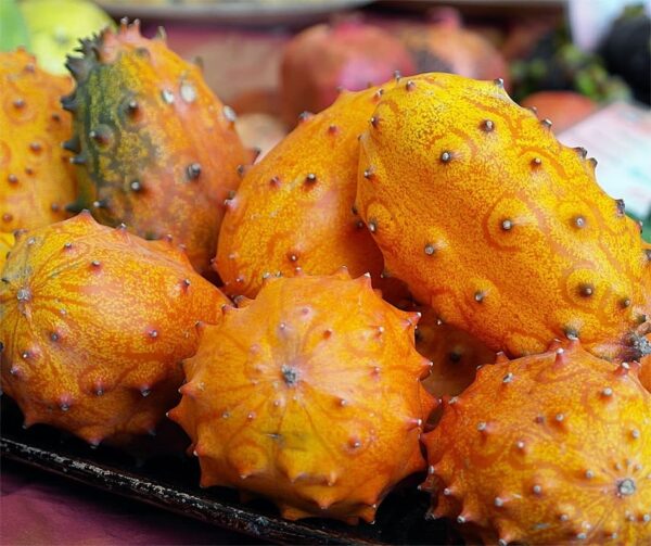 Cucumis metuliferus Kiwano - Afbeelding 2