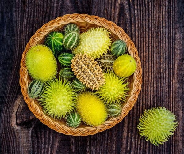 Miscela di formula Cucumis