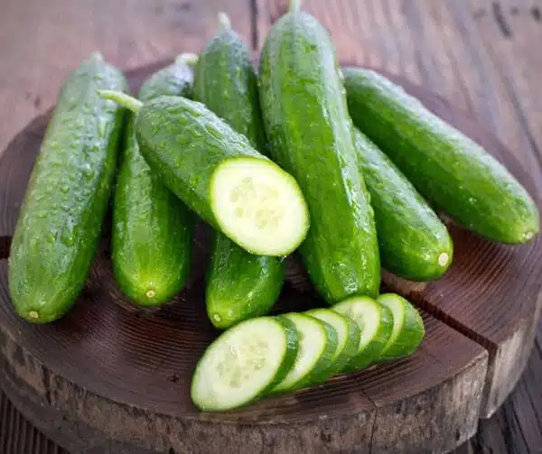 Cucumis sativus (Gurka) Beth Alpha