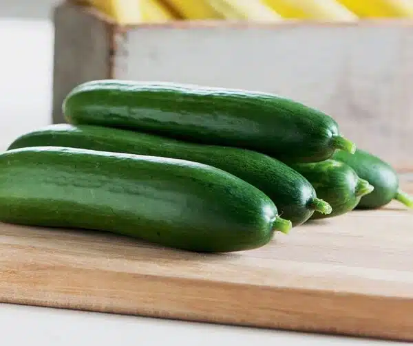 Cucumis sativus (Cucumber) La Diva
