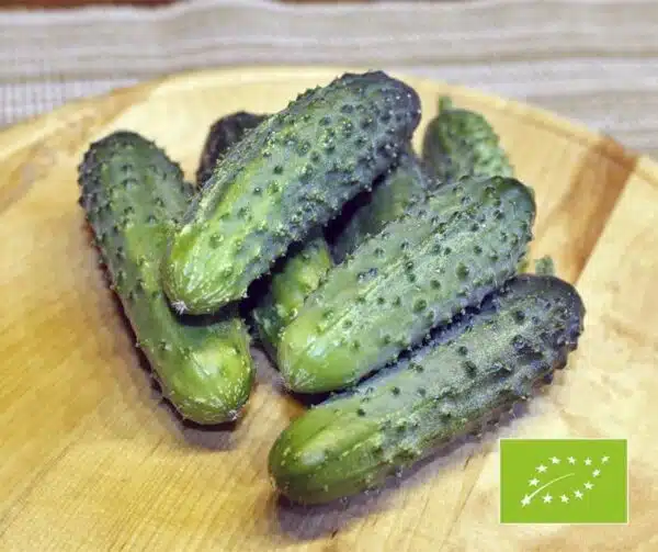Cucumis sativus (Gherkin) Little Leaf BIO