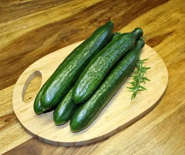 Cucumis sativus (Cucumber) Superstar F1 - Afbeelding 3