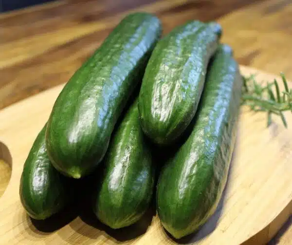 Cucumis sativus (Cucumber) Superstar F1