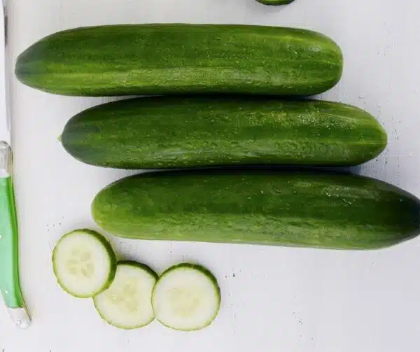 Cucumis sativus (Агурок) Тэса F1