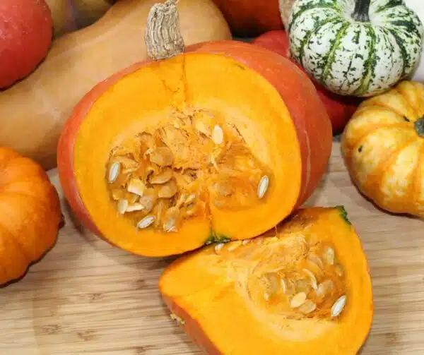 Cucurbita maxima Madiba F1 - Afbeelding 2