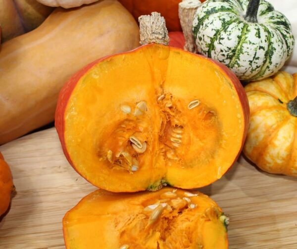 Cucurbita maxima Rotorua F1 - Afbeelding 3