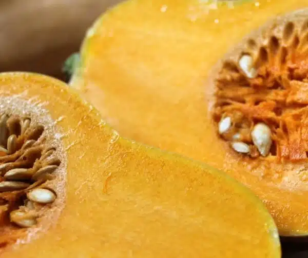 Гарбуз маскавіты (Cucurbita moschata Butterbaby F1 PMT) - Выява 3