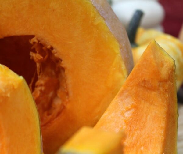 Cucurbita moschata Hambra F1 - Afbeelding 4