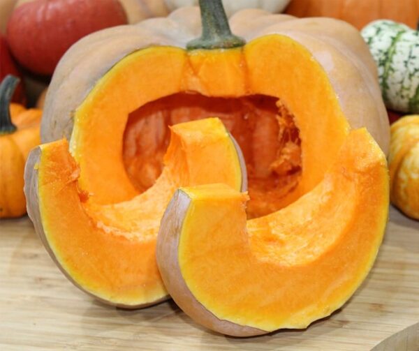 Cucurbita moschata Hambra F1 - Afbeelding 2