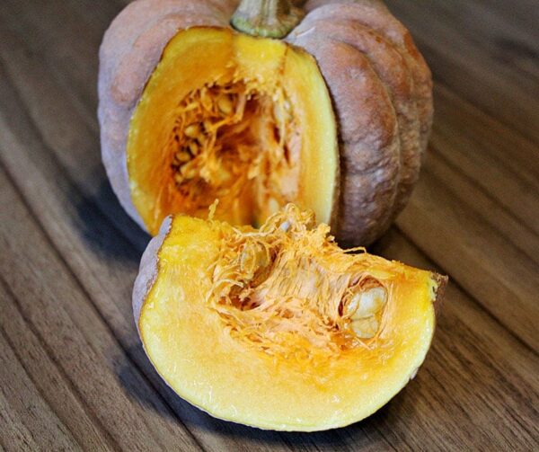 Cucurbita moschata Kogigu