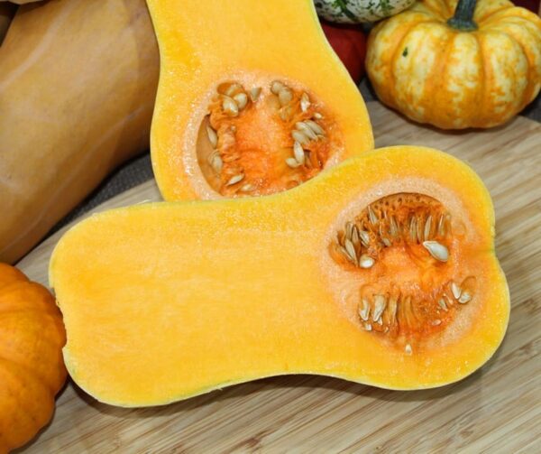 Cucurbita moschata Mieluna F1 PMT - малюнак 3