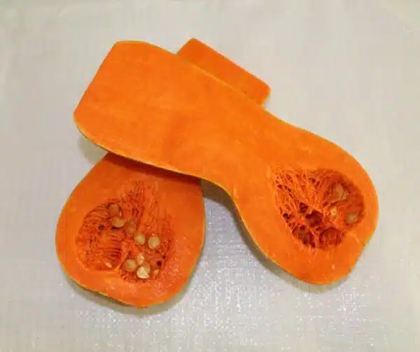 Cucurbita moschata Nectar - Bild 2