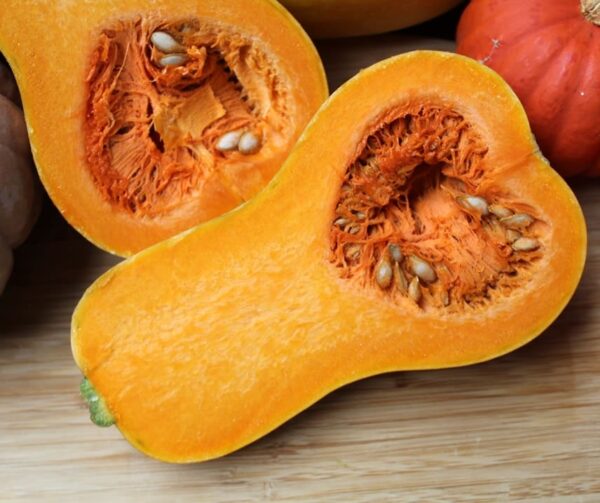 Cucurbita moschata Pancho F1