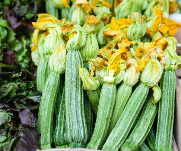 Cucurbita pepo (цукіні) Costata Romanesco - Малюнак 2
