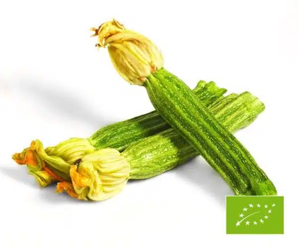 Cucurbita pepo (цукіні) Costata Romanesco BIO