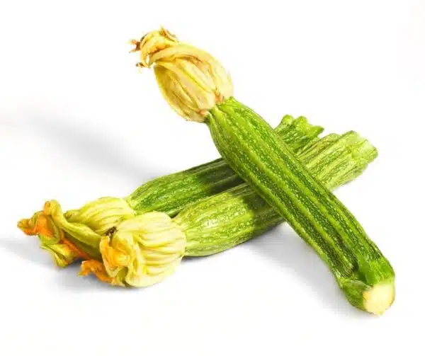 Cucurbita pepo (цукіні) Costata Romanesco