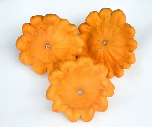 Cucurbita pepo Golden Marbre