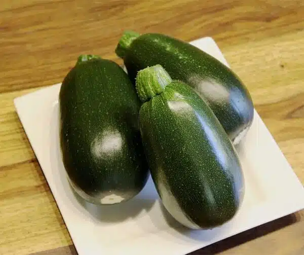 Cucurbita pepo (Calabacín) Verde Griller F1