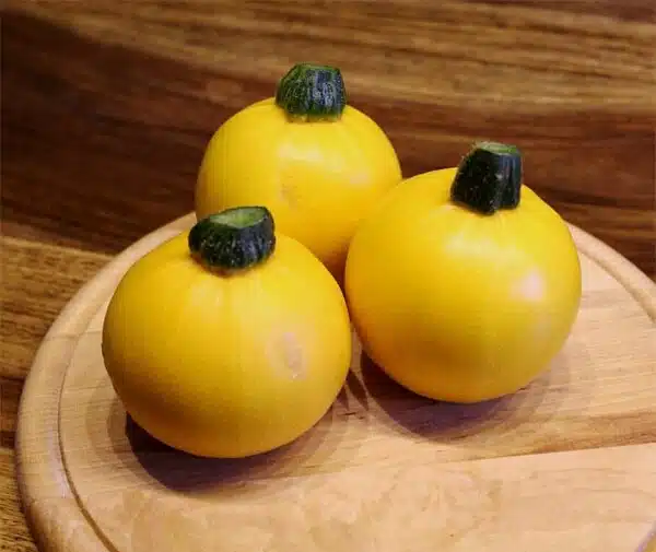 Cucurbita pepo (Цукіні) One Ball F1