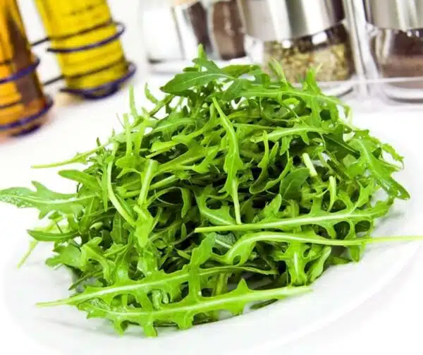 Diplotaxis tenuifolia (Wild rocket or Arugula)