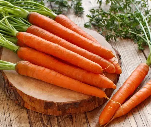 Daucus carota (Carrot) Dolciva BIO - Afbeelding 2