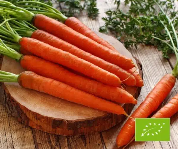 Daucus carota (Carrot) Dolciva BIO