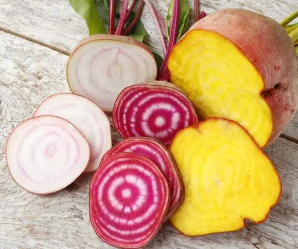 Beta vulgaris (Beetroot) Hula Hoop - Afbeelding 2