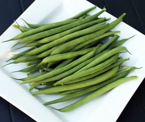 Phaseolus vulgaris (Green bean) Faraday BIO - Afbeelding 2