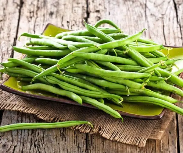 Phaseolus vulgaris (Green bean) Maxi - Afbeelding 2